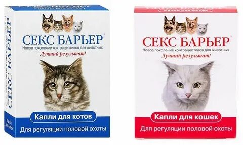 Барьер для кошек
