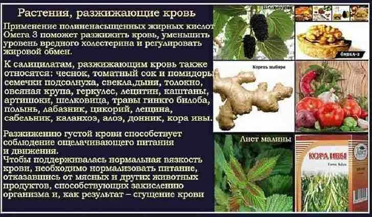 Что нужно есть чтобы не было тромбов