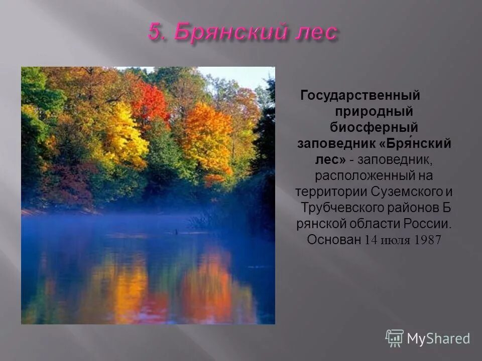 предложение со словом. предложение со словом заповедник. значение слова заповедник. предложение со словом заповедник. эталонные леса.
