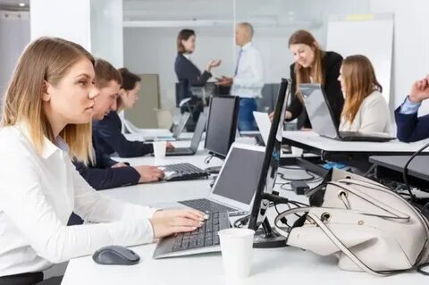 Организацией будет работать не один