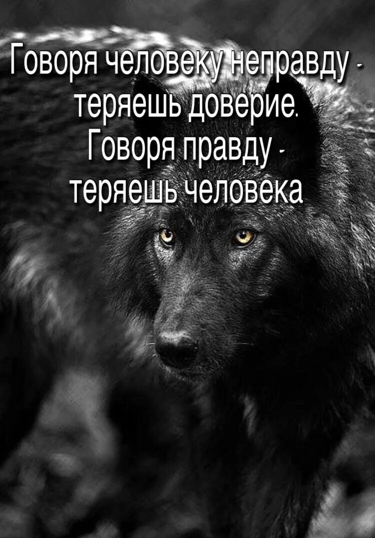 Потерять доверие. Говоря человеку правду теряешь. Потерять доверие человека. Люди теряют доверие.