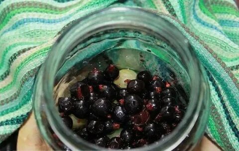 Смородина что можно приготовить на зиму