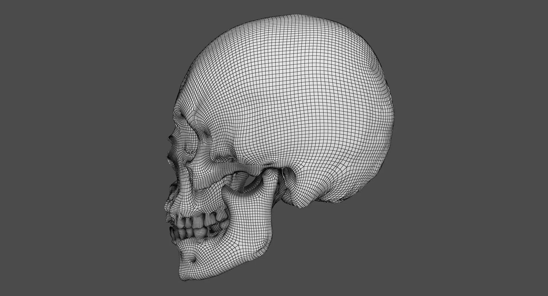 Череп 3д печать. Череп 3д модель. 3d модель черепа человека. череп 3д модель для принтера.