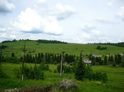Шалинском районе республики