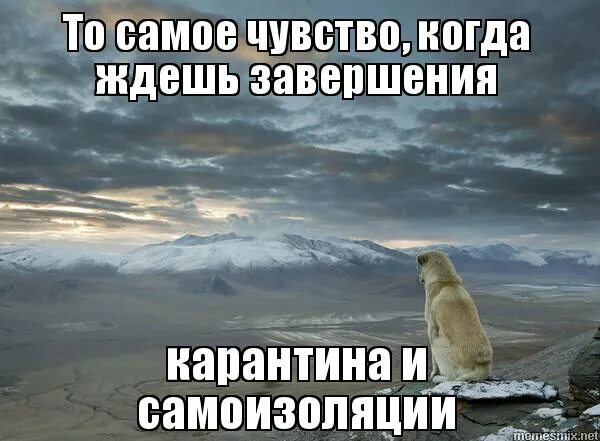 нарисовать конец света. смешной конец света. весь урок ждал конца света. цитаты про конец света. афоризмы про свет.