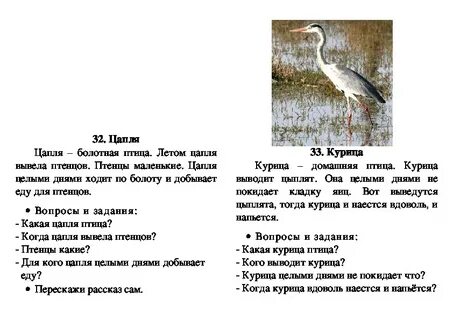 Текст цапли