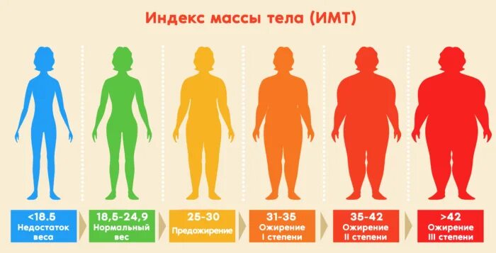 2 стадия ожирения. Степени ожирения. Ожирение 1 степени. ИМТ ожирение. Первая стадия ожирения.