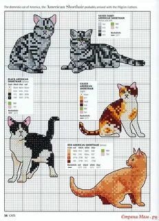 Схема кота крестиком