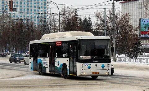Автобус 567