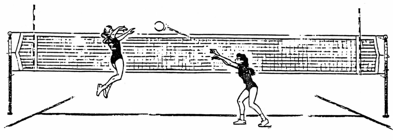 передача мяча с отскоком от пола в баскетболе техника. связующий в волейболе. футболисты на поле. верхняя передача мяча в волейболе. пас в поисках головы партнера.