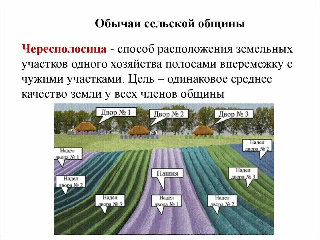 Купил занятый участок. Чересполосица. Чересполосица земельных участков. Расположение земельных участков одного хозяйства. Чересполосица это в истории.