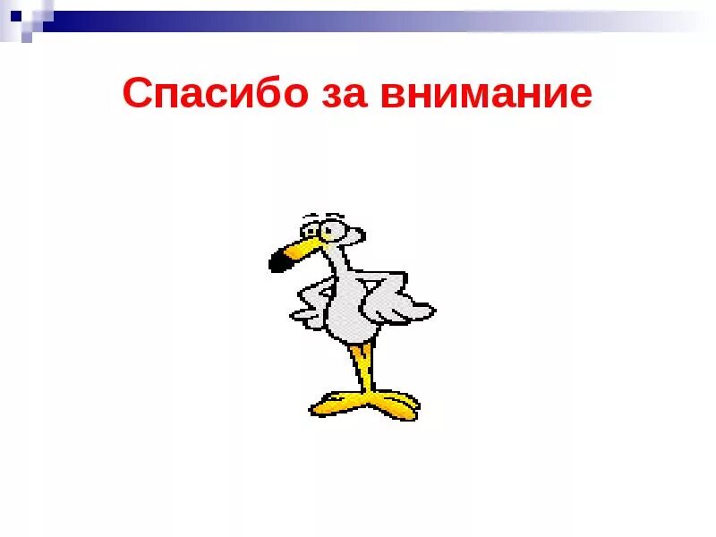 Анимация для презентации спасибо. Спасибо за внимание птицы. Спасибо за внимание для презентации прикольные. Спасибо за внимание анимация. Картина спасибо за внимание.