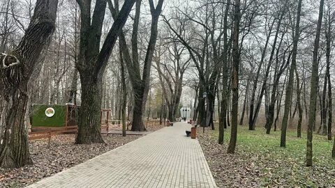 Липецк ноябрь