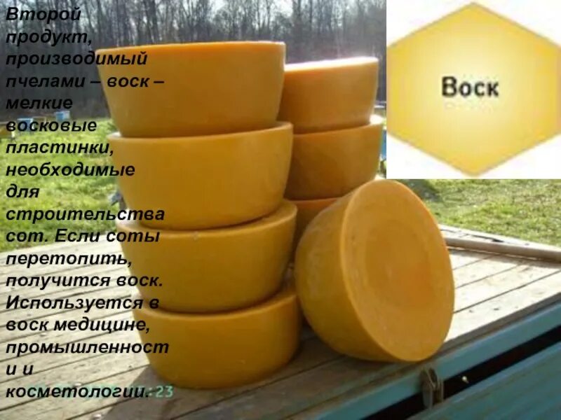 Где используется воск. Пчелиный воск. продукты пчеловодства воск. пчелиный воск в медицине. пчелиный воск в промышленности.