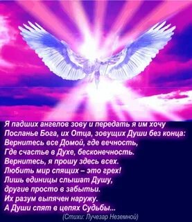 Света ангел мой неземной