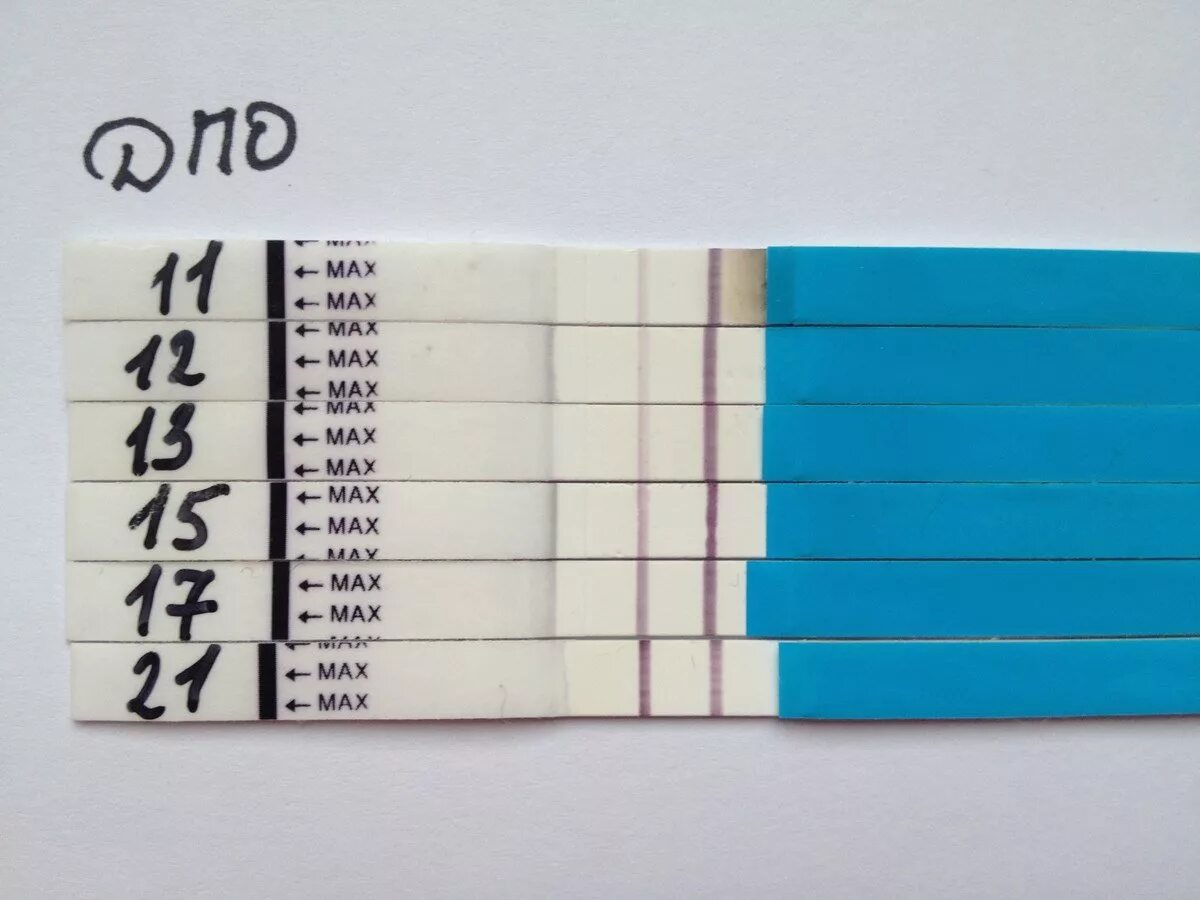 Двойня на тесте на беременность. Тест на беременность при двойне. Тесты двойня. Тест на многоплодную беременность. Тест при двойне.