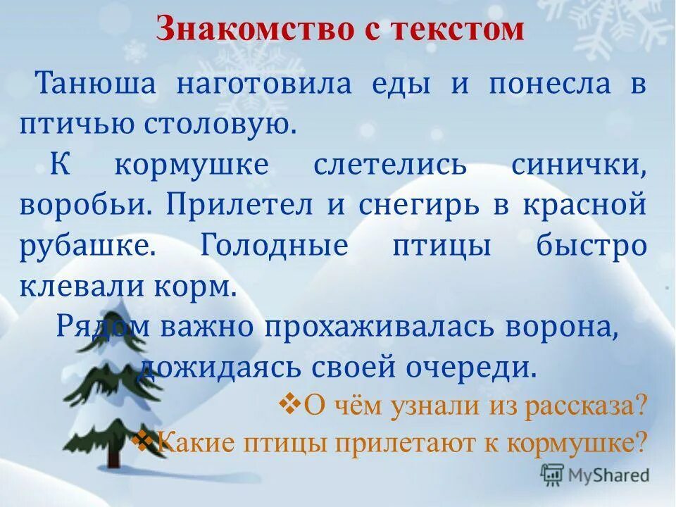 слетевшиеся к кормушке воробьи быстро склевали. прилететь в кормушку или на кормушку. кормушка для птиц. кормушка для птиц. воробей клюет.