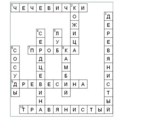 Кроссворд увеличительные приборы 5 класс. Кроссворд по биологии увеличительные приборы 5 класс. Кроссворд по биологии 6 класс по теме цветок и его строение. Кроссворд по теме биология 6 класс. Биология 6 класс кроссворд на тему фотосинтез