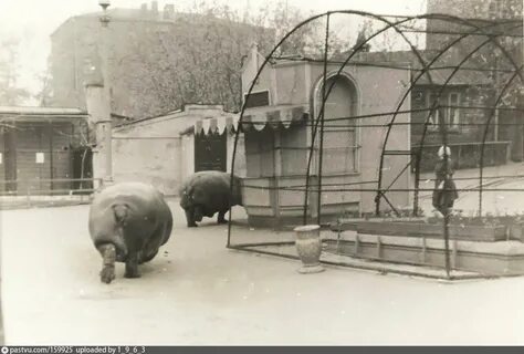 Зоопарк старый адрес