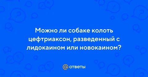 Цефтриаксон можно колоть собакам