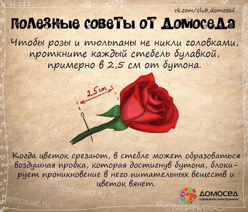 Полезные советы на все. Полезные советы. советы домоседа. полезные советы на каждый день. интересные советы.