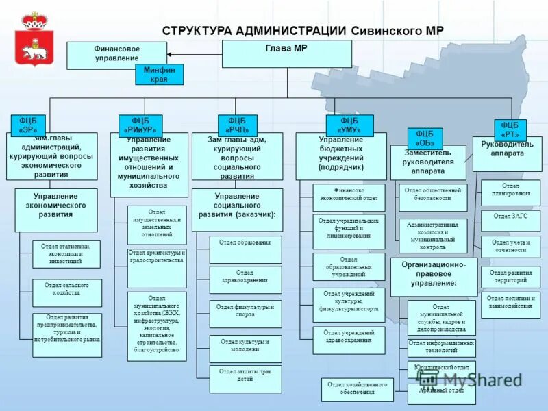 какая служба курирует