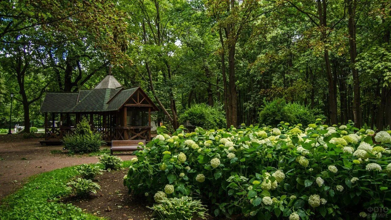 Летний домик графа орлова. Морозовский сад в москве. Морозовский садик в москве. Оранжерея -теплица у прокловой елены. Летний чайный домик графа орлова.