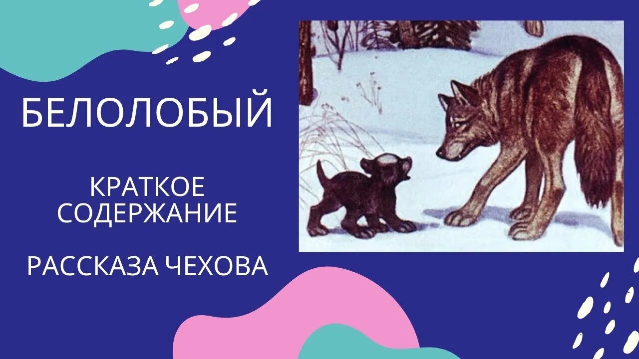 Чехов белолобый герои. П. Чехов а. П. Чехов белолобый герои.