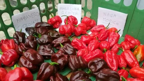 Редкие продукты