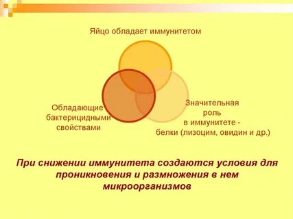Свидетельский иммунитет