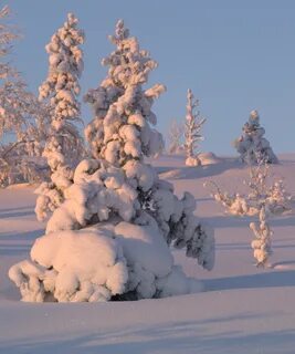 Маленькие фото зимы