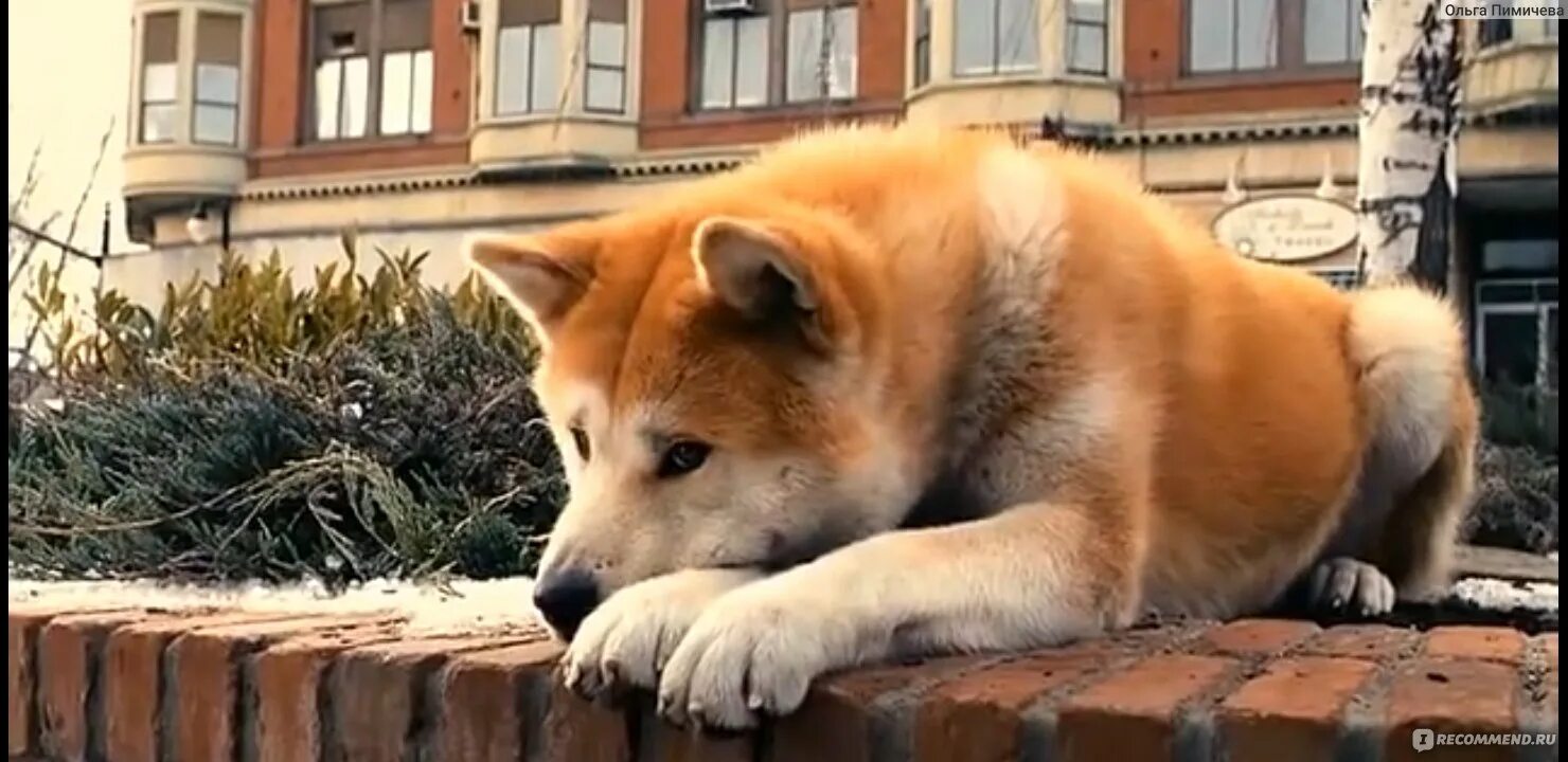 Какая есть такую ждем