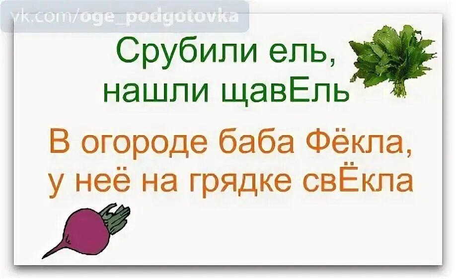 Щавель найти слова. Стишок про щавель. Щавель ударение. Щавель словарное слово. Словарное слово щавель 2 класс.