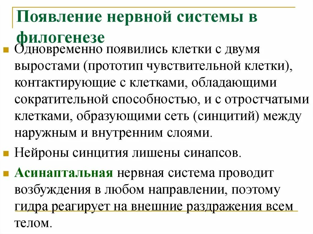 Филогенез нервной. Появление нервной системы. Филогенез нервной системы. Происхождение нервной системы. Филогенез нервной системы кратко.