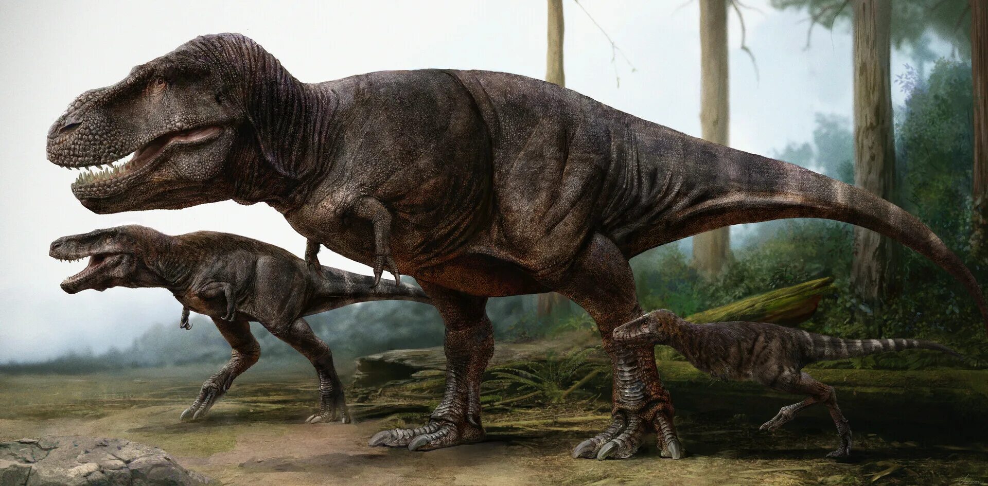 Динозавры выходят. Тираннозавр Доисторическая Планета. Тираннозавр рекс из доисторической планеты. Сауриан динозавры. Альбертозавр.
