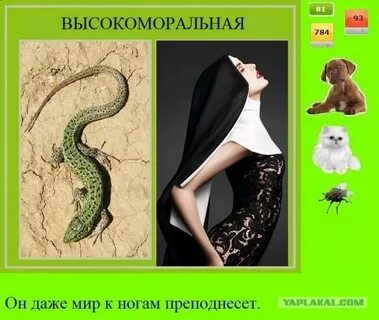 Высоко моральный человек