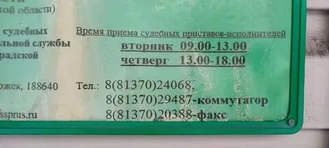 Приставы всеволожск телефон