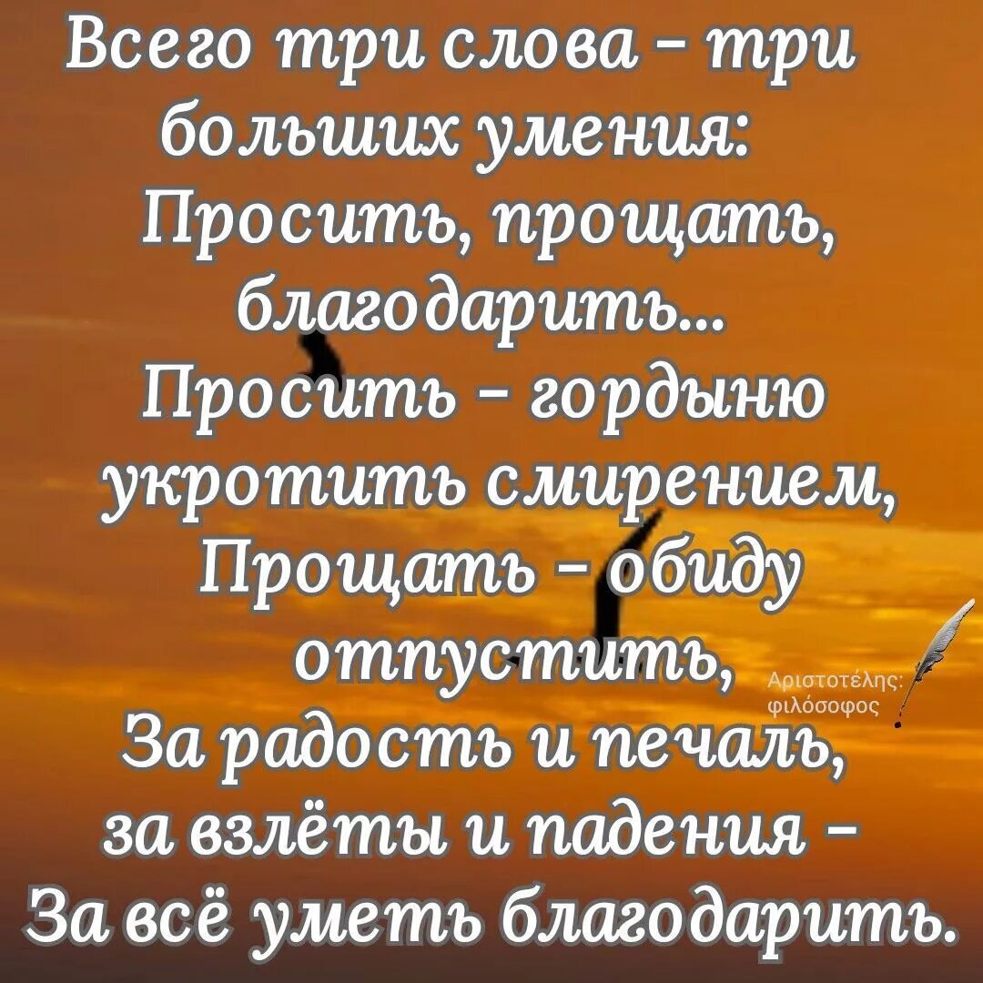 Несчастье найти слова. Стихи о жизни. Мудрые притчи. Стихи о жизни со смыслом. Красивые стихи о жизни.