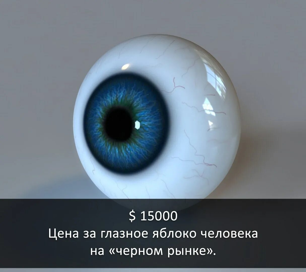 Глаз человека цена. Диаметр глазного яблока. Размер глазного яблока человека. Диаметр глазного яблока взрослого человека. Диаметр человеческого глаза.