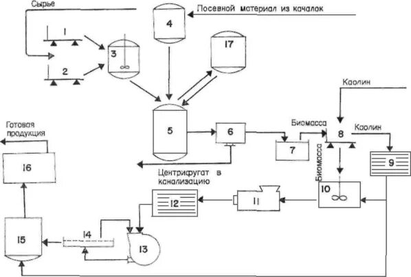 Технологическая схема производства вакцины против гриппа - фото презентация