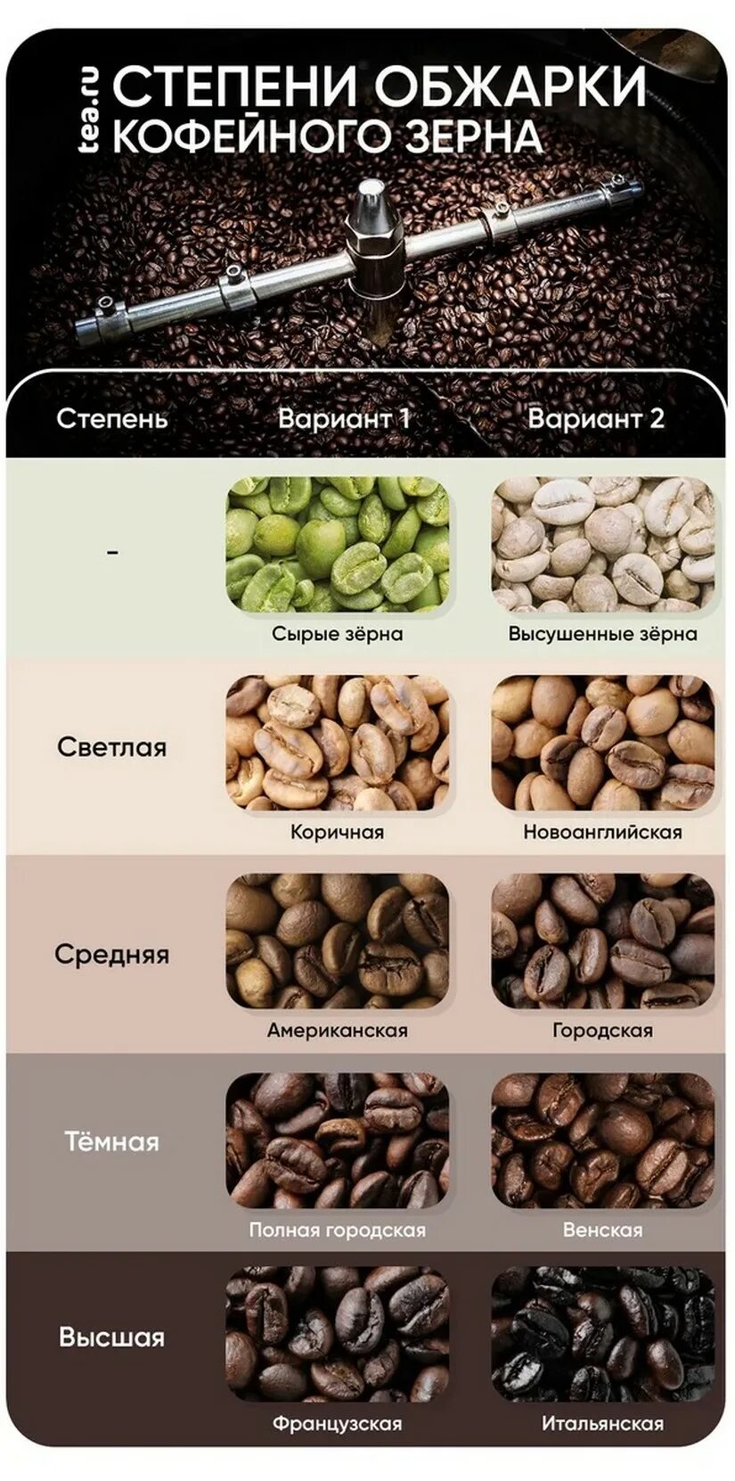 Темная обжарка кофе. Сорта кофе в зернах Арабика и Робуста. Степень прожарки кофе в зернах. Степени обжарки кофе в зернах таблица. Лучшая обжарка кофе