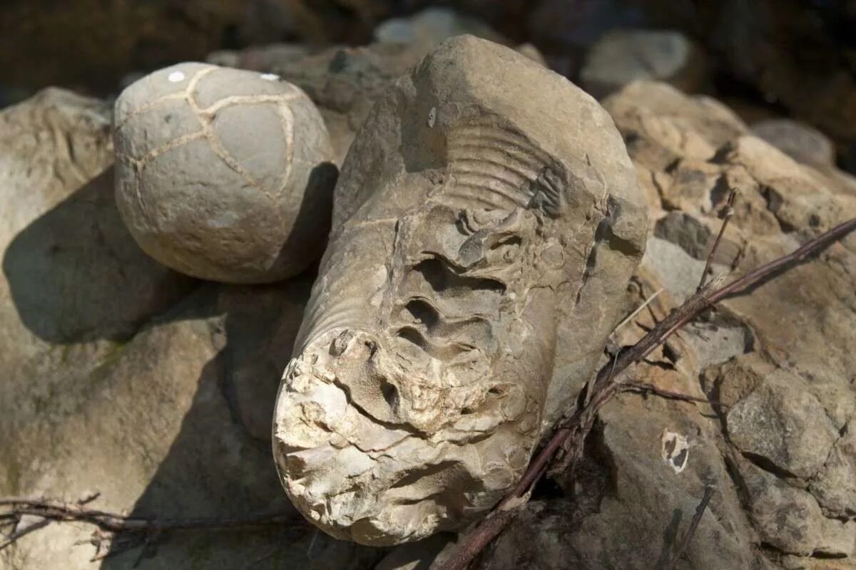 Антикитерский механизм, греция. Выраженные артефакты. Выраженные артефакты. Артефакты допотопной цивилизации. Артефакты древних.