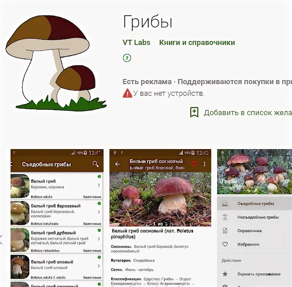 Игорь Жижилкин (Москва) просит распознать гриб по фото