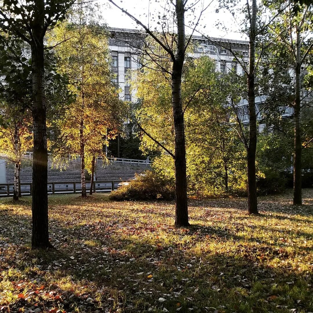 Лефортово москва. Лефортово. Район Лефортово. Лефортовский парк Москва.