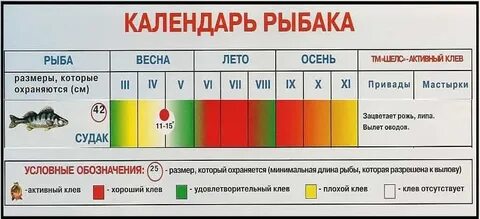 Календарь рыболова на реке