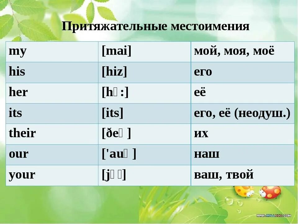 Ее портфель люблю его личные местоимения. Притяжательные местоимения в английском. Притяжные местоимения на английском. Притяжательные местоимения в английском языке 3 класс с переводом. Притяжательные местоимения в английском языке с транскрипцией.