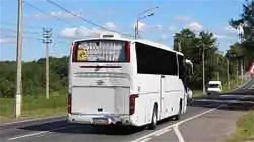 Автобус пушкин красносельское шоссе