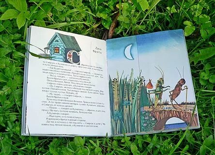 Основная мысль текста паучок и лунный свет