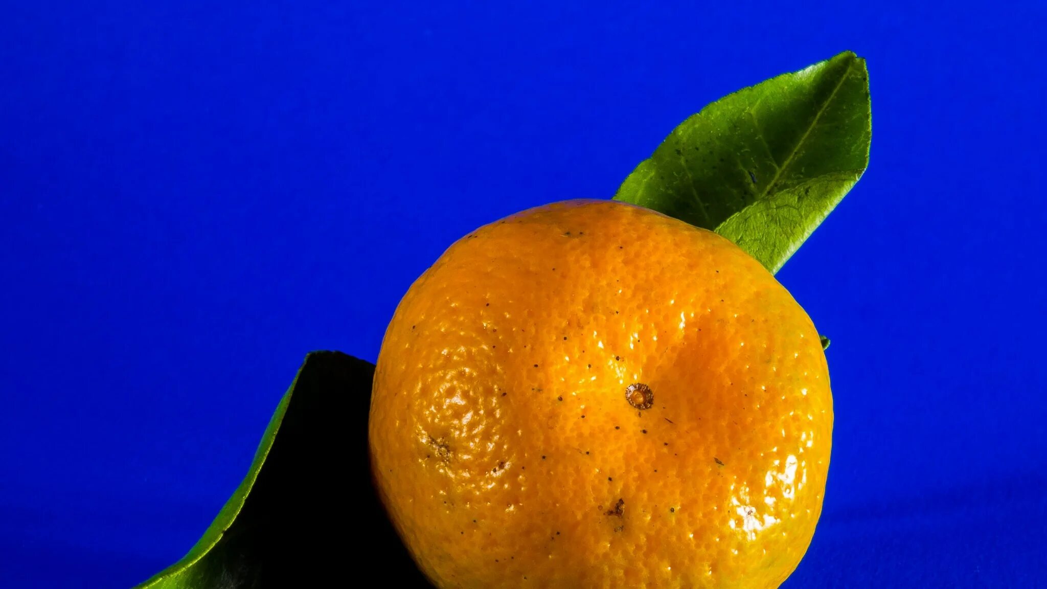 Фрукты оранжевого цвета. Апельсин 4 1. Сочный апельсин. Оранжевый апельсин. Апельсин валенсия.