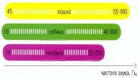 Как звучит частота 280